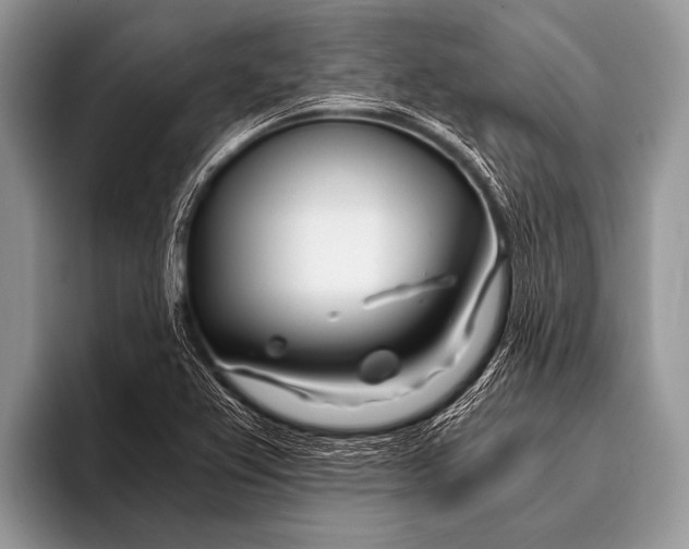 X0000096201367200802081531