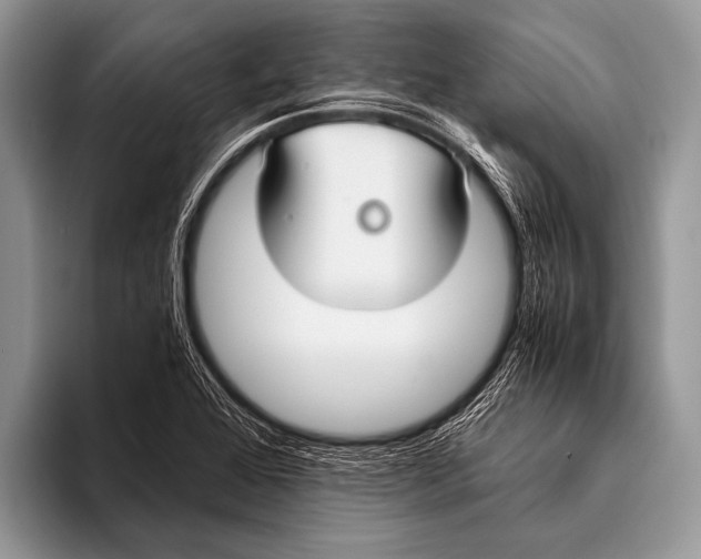 X0000096201368200802081531