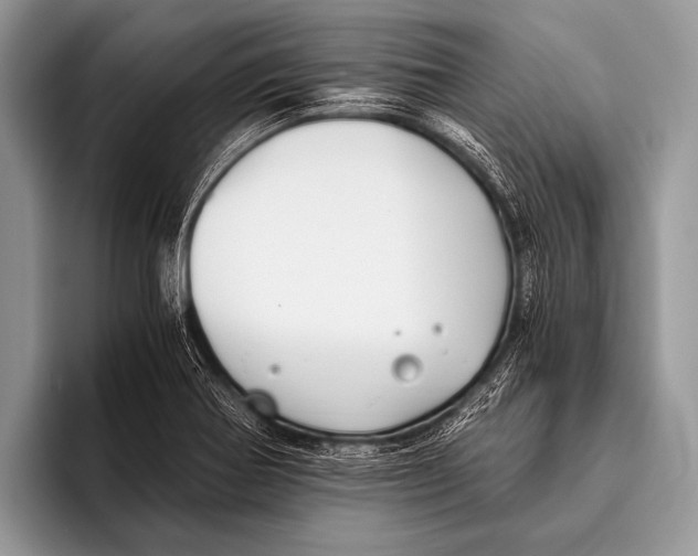 X0000096201370200802081531