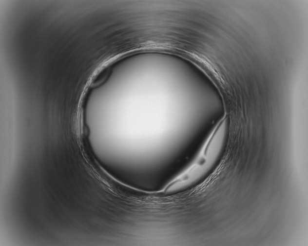 X0000096201371200802081531