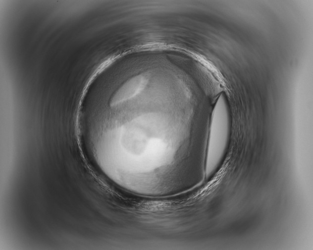 X0000096201373200802081531