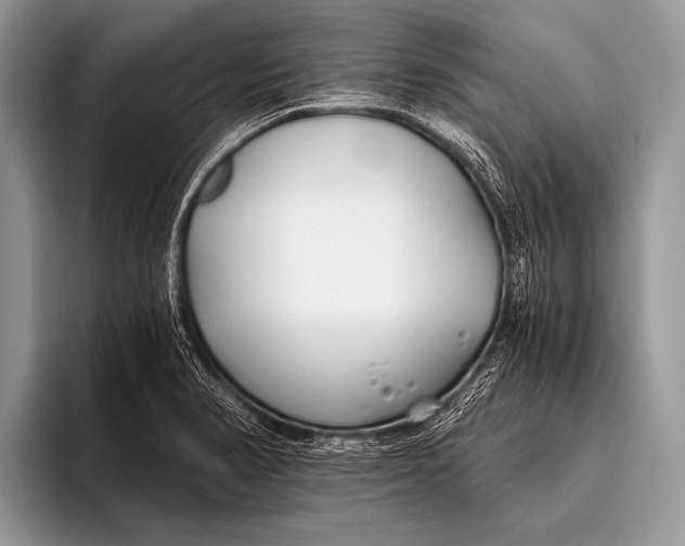 X0000096201374200802081531