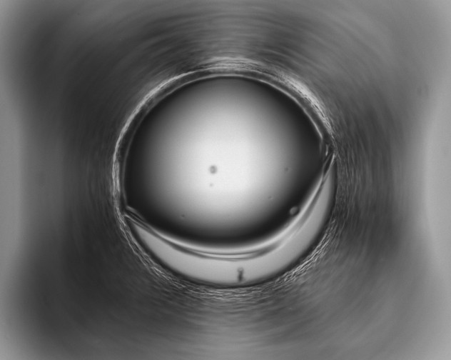 X0000096201376200802081531