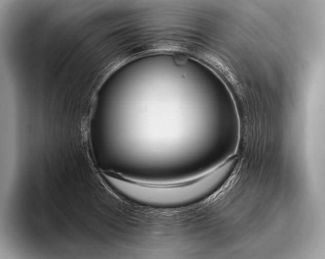 X0000096201377200802081531