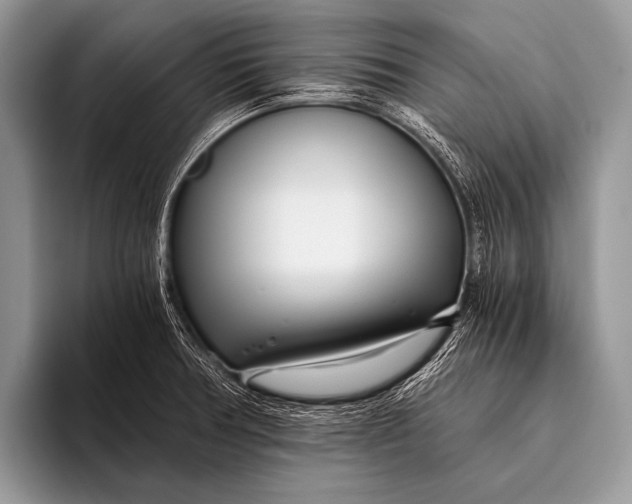 X0000096201378200802081531