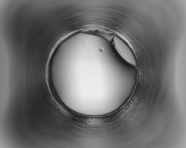 X0000096201379200802081531