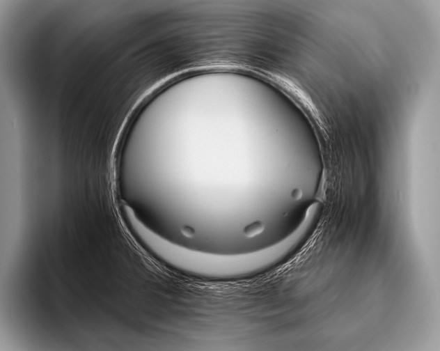 X0000096201380200802081531