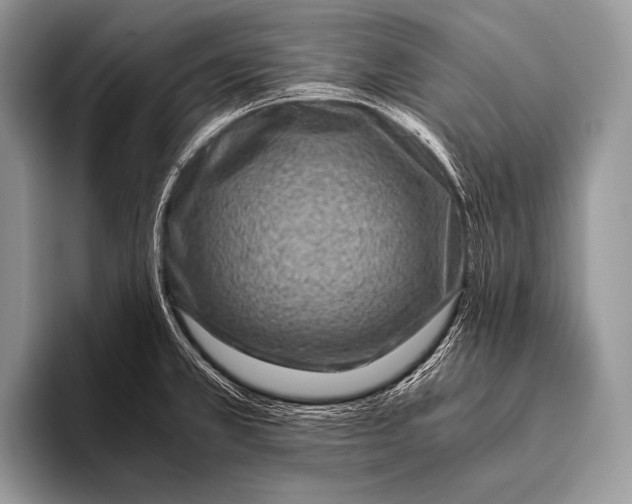 X0000096201381200802081531