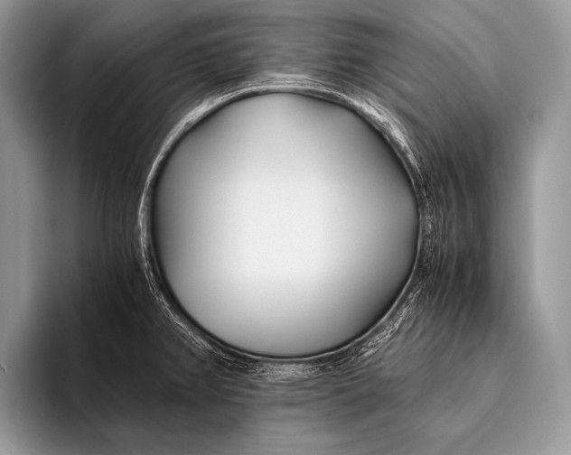 X0000096201382200802081531