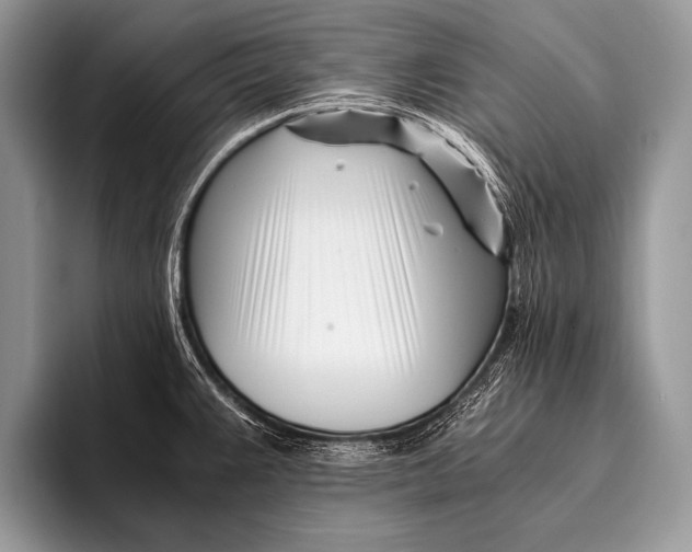 X0000096201383200802081531