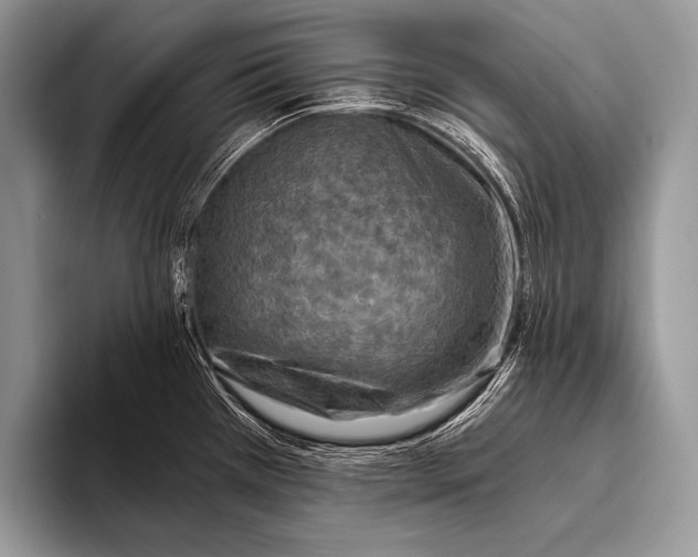 X0000096201385200802081531