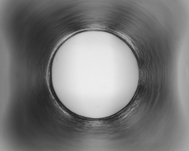 X0000096201387200802081531