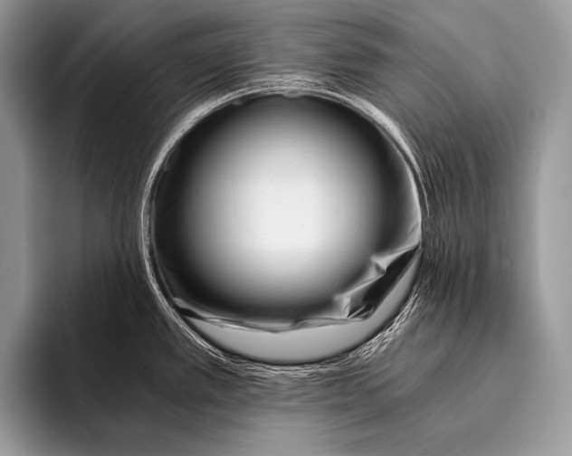 X0000096201389200802081531