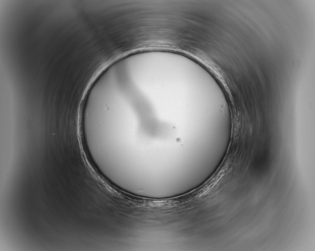 X0000096201390200802081531