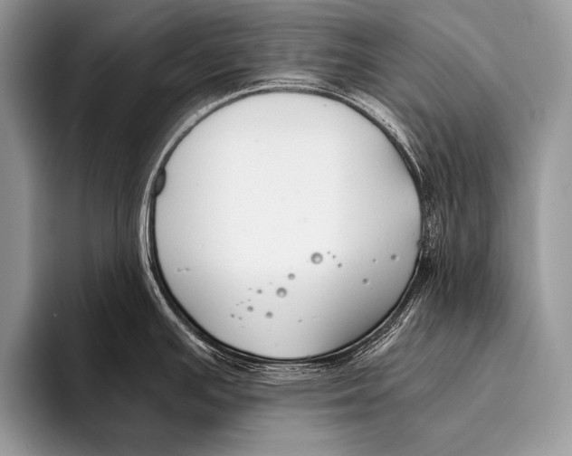 X0000096201391200802081531