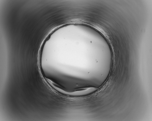 X0000096201392200802081531