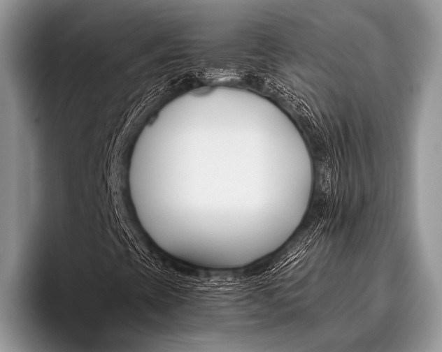 X0000096201393200802081531