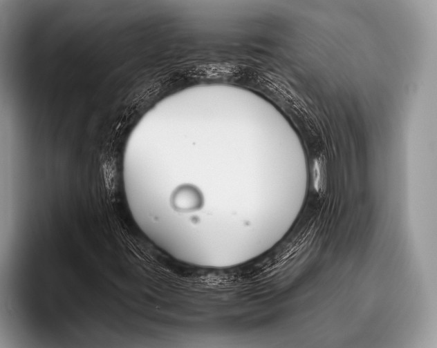 X0000096201395200802081531