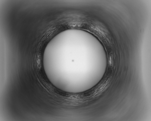 X0000096201396200802081531