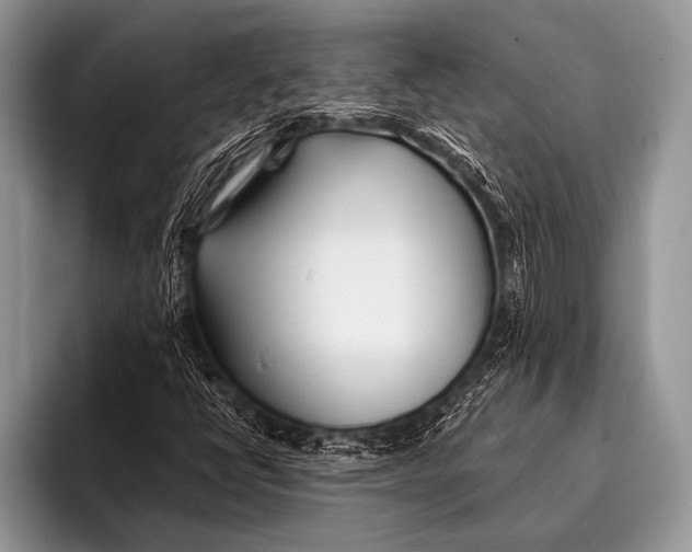 X0000096201398200802081531