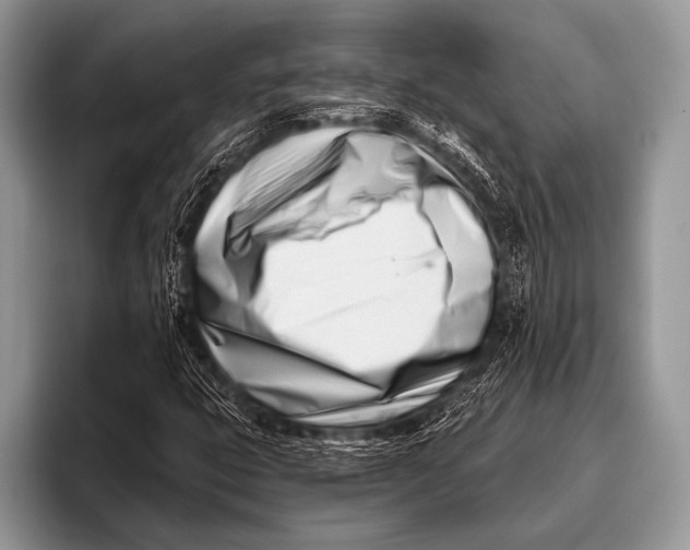 X0000096201399200802081531