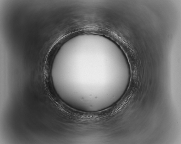 X0000096201400200802081531