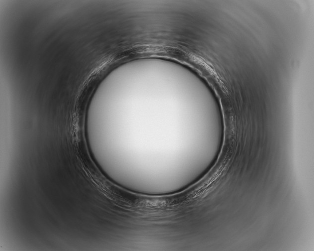 X0000096201403200802081531