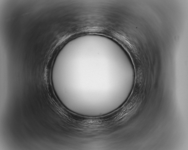 X0000096201404200802081531