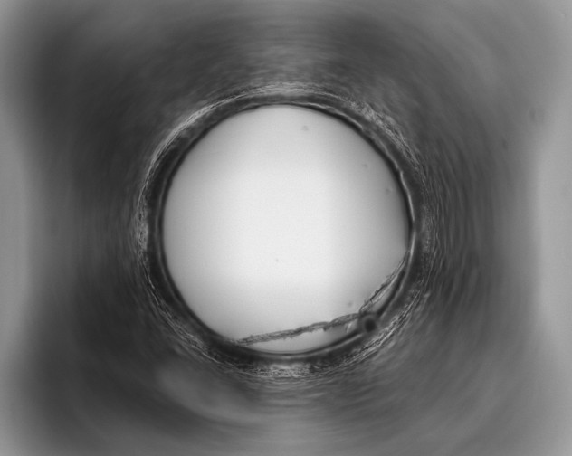 X0000096201406200802081531