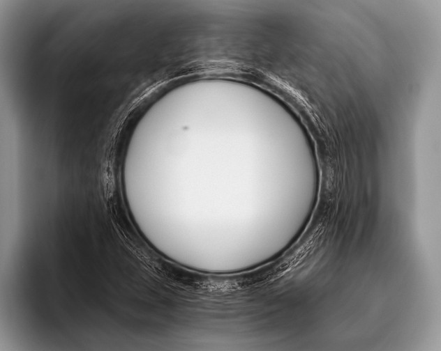 X0000096201407200802081531