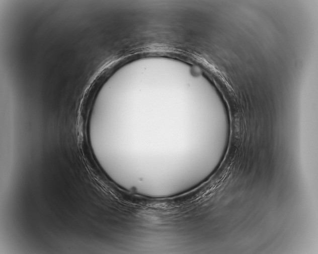 X0000096201408200802081531