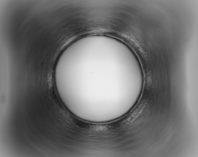 X0000096201409200802081531