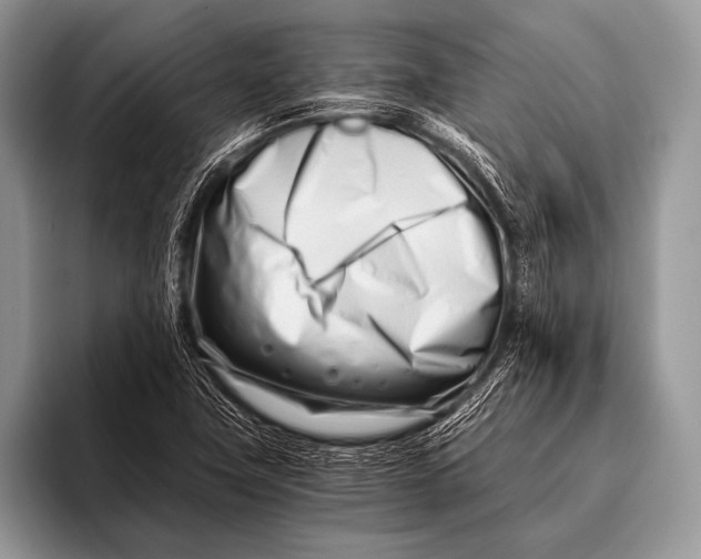 X0000096201411200802081531