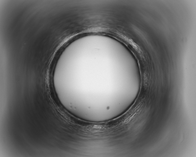 X0000096201412200802081531