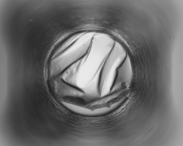 X0000096201413200802081531