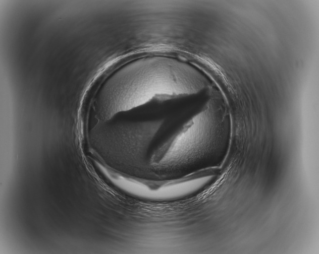 X0000096201414200802081531