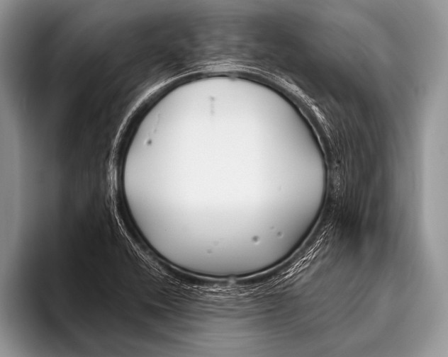 X0000096201416200802081531