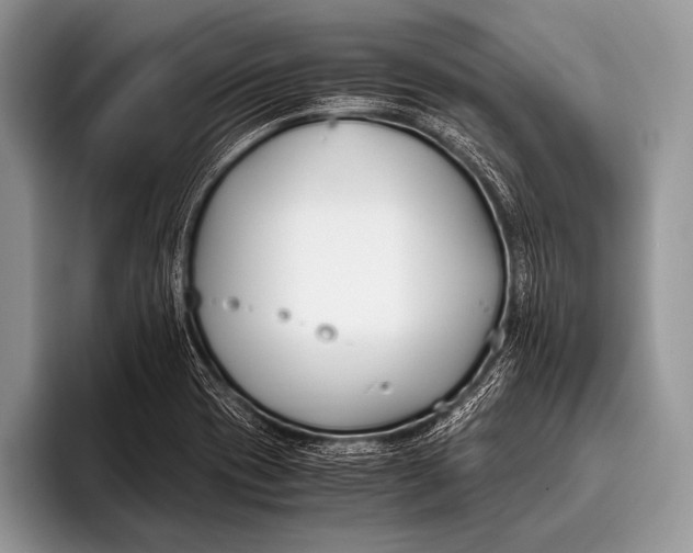 X0000096201417200802081531