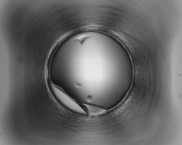 X0000096201418200802081531