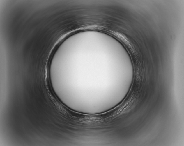 X0000096201420200802081531