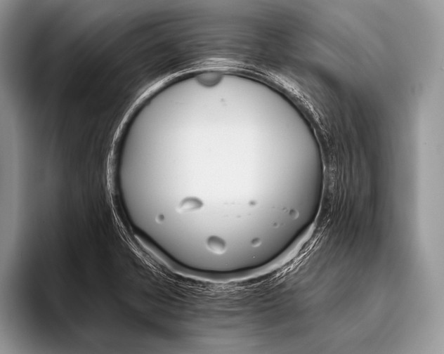 X0000096201421200802081531