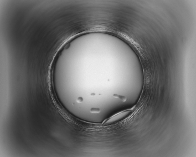 X0000096201423200802081531