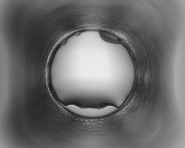 X0000096201424200802081531