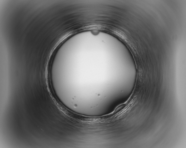 X0000096201426200802081531