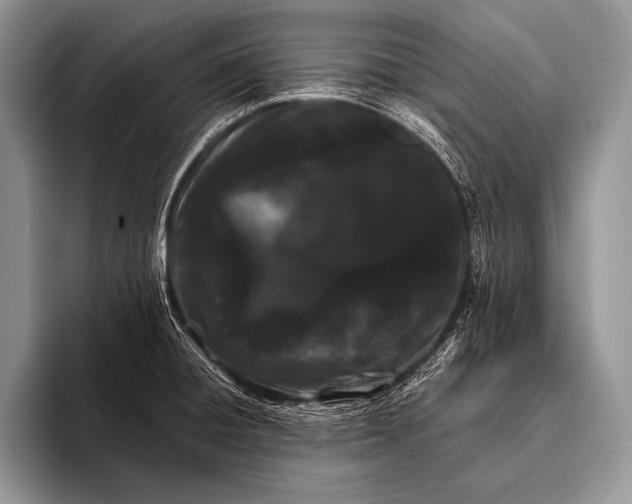 X0000096201428200802081531