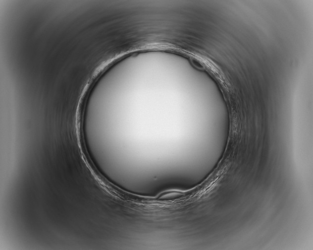 X0000096201430200802081531