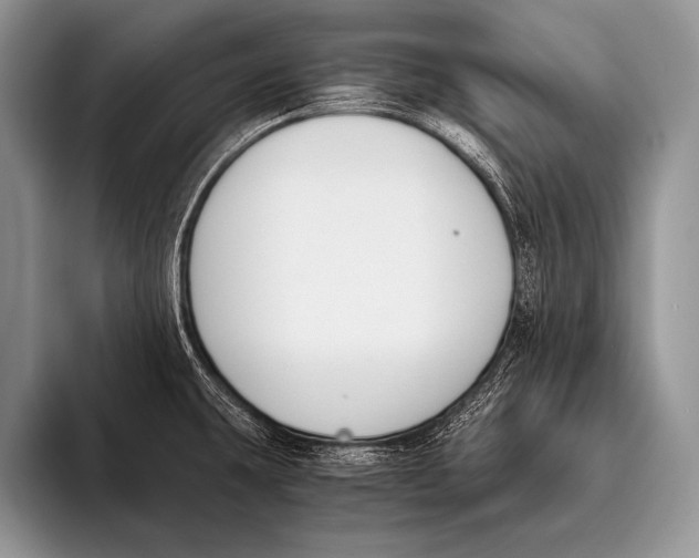 X0000096201431200802081531