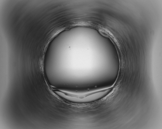 X0000096201433200802081531