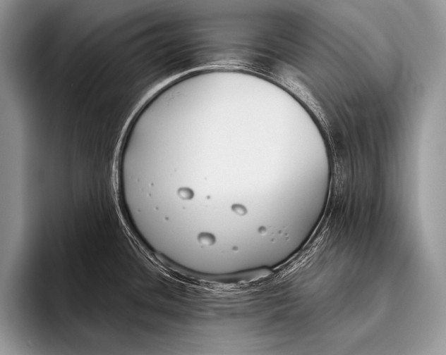 X0000096201436200802081531