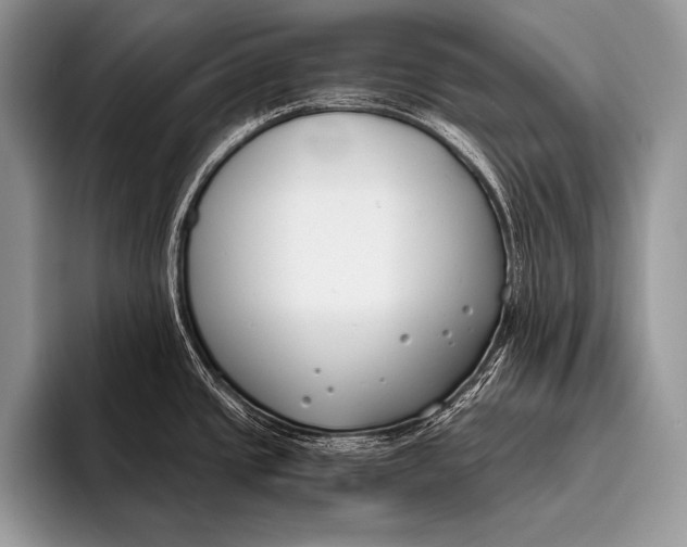 X0000096201437200802081531